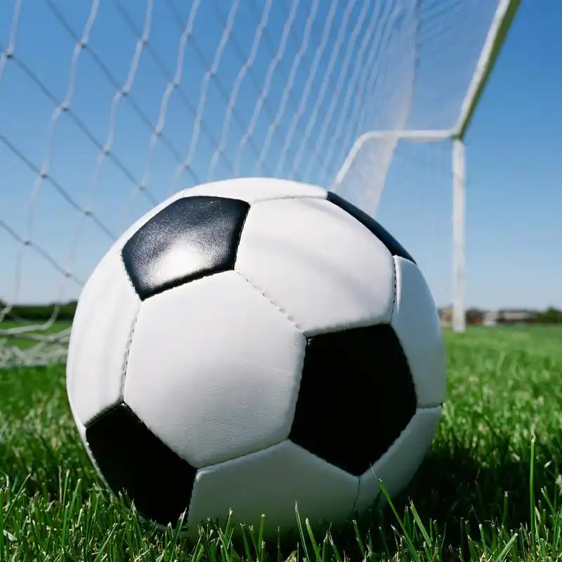 体育教育工作者场景