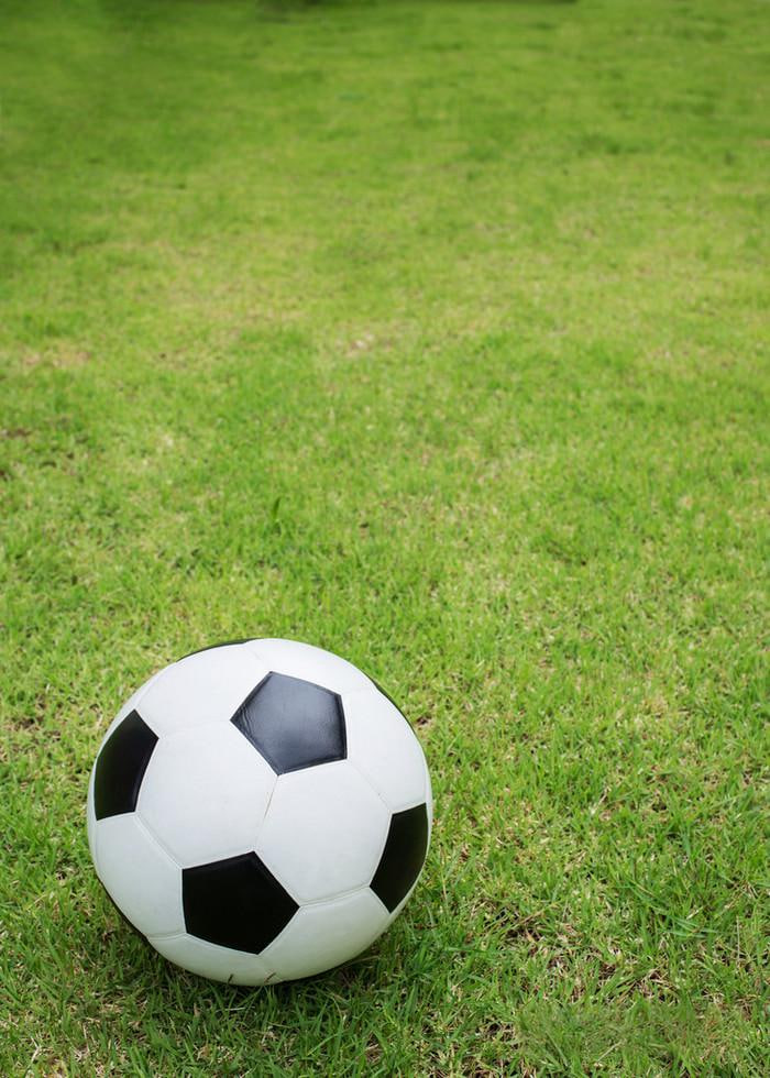 雷速体育二维码